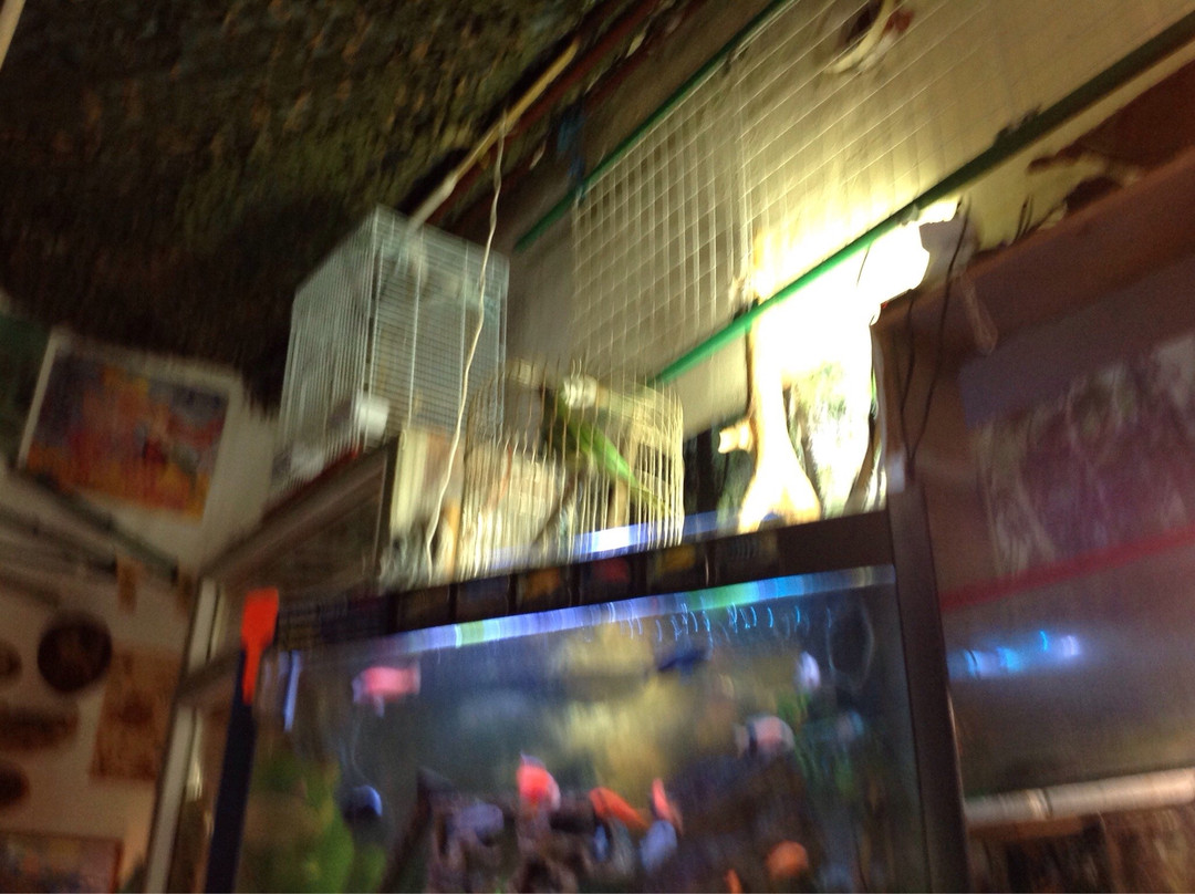 Oceanography Center Open Ocean-明斯克必去景点