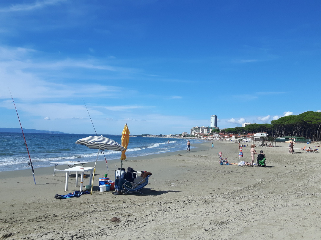 Riserva Naturale Tomboli di Follonica景点图片
