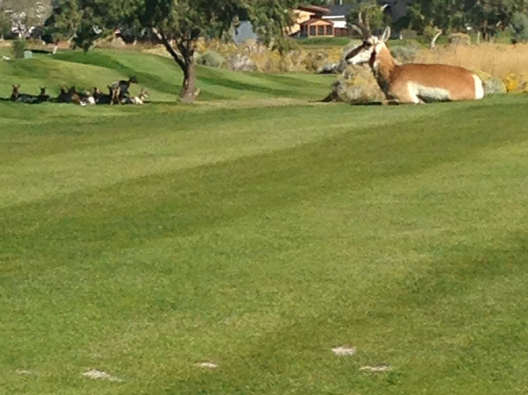 Toana Vista Golf Course-西温多弗必去景点