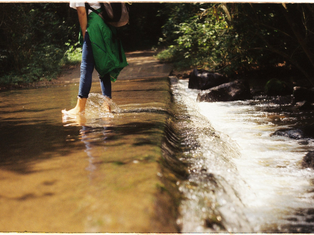 null-Cat Tien National Park