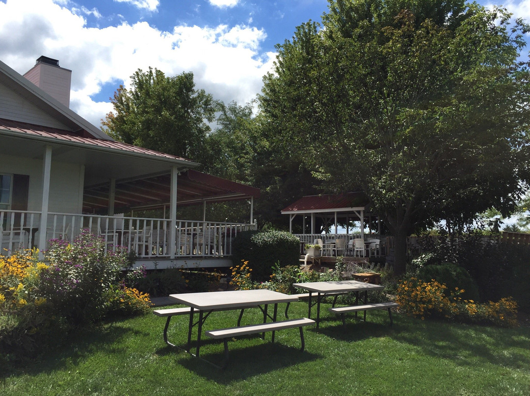 James Arthur Vineyard-Raymond必去景点