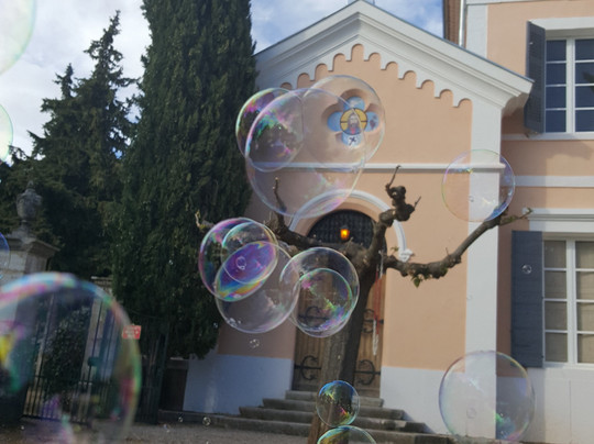 Chateau La Curniere-Tavernes必去景点