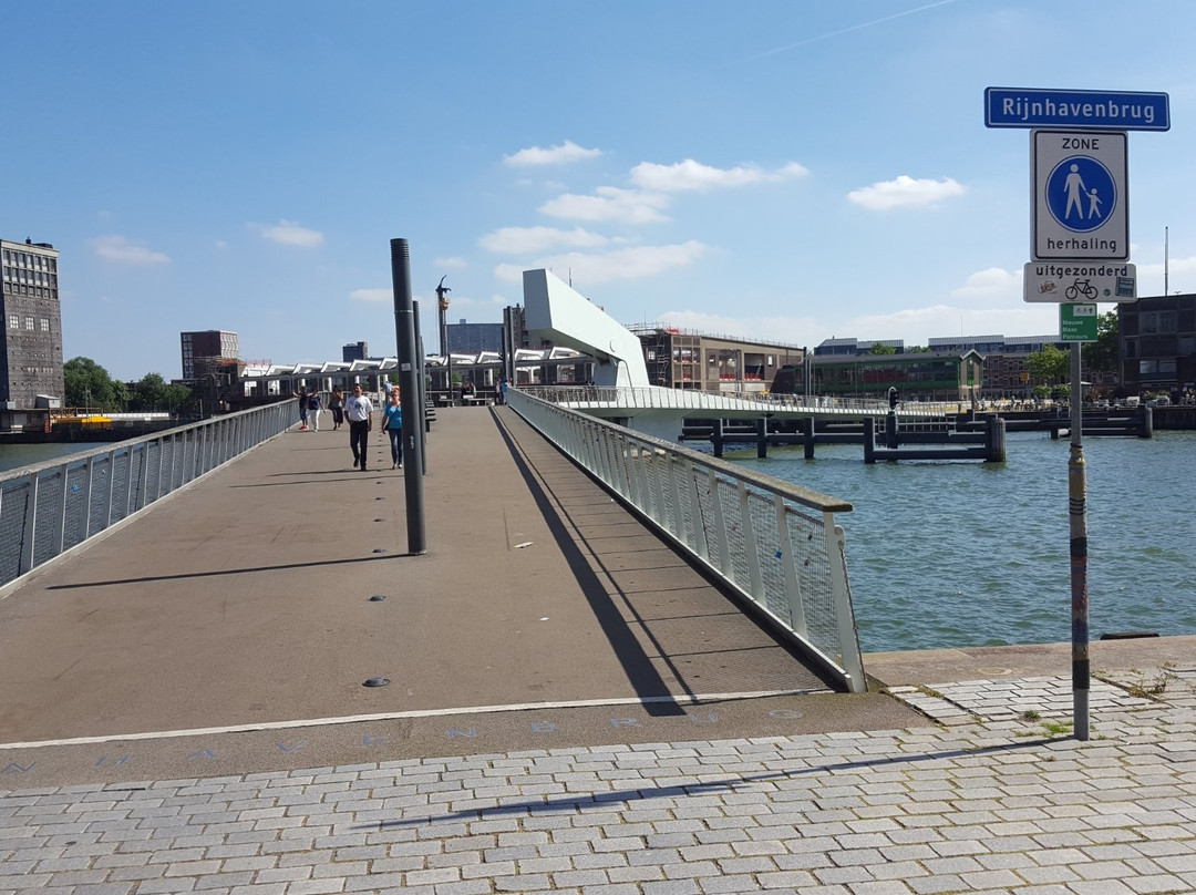 Rijnhavenbrug-鹿特丹必去景点