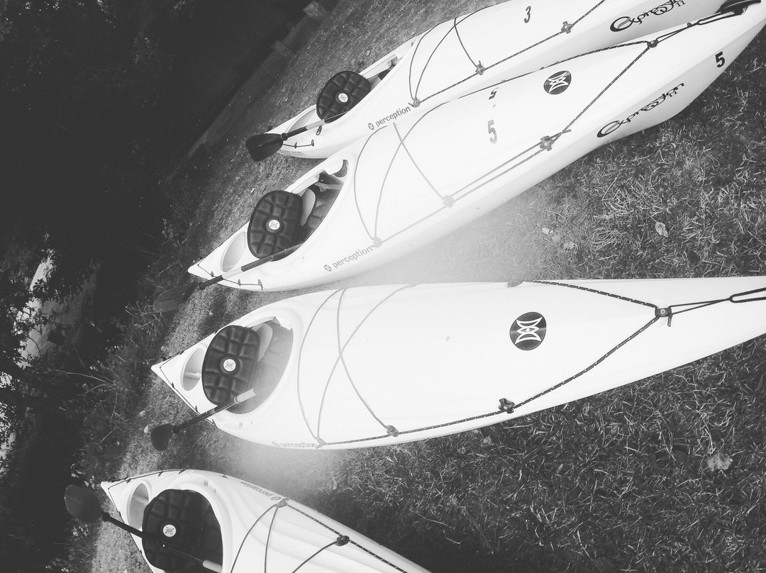 Oxford Kayak Tours景点图片