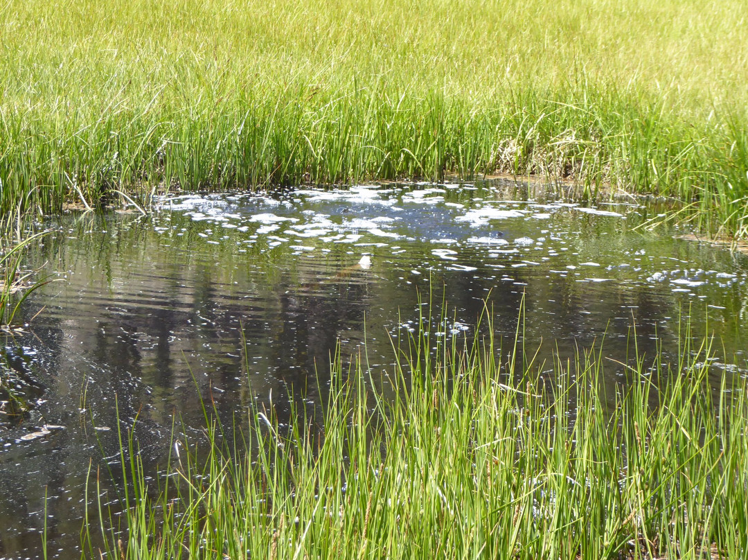 Boiling Springs Lake景点图片
