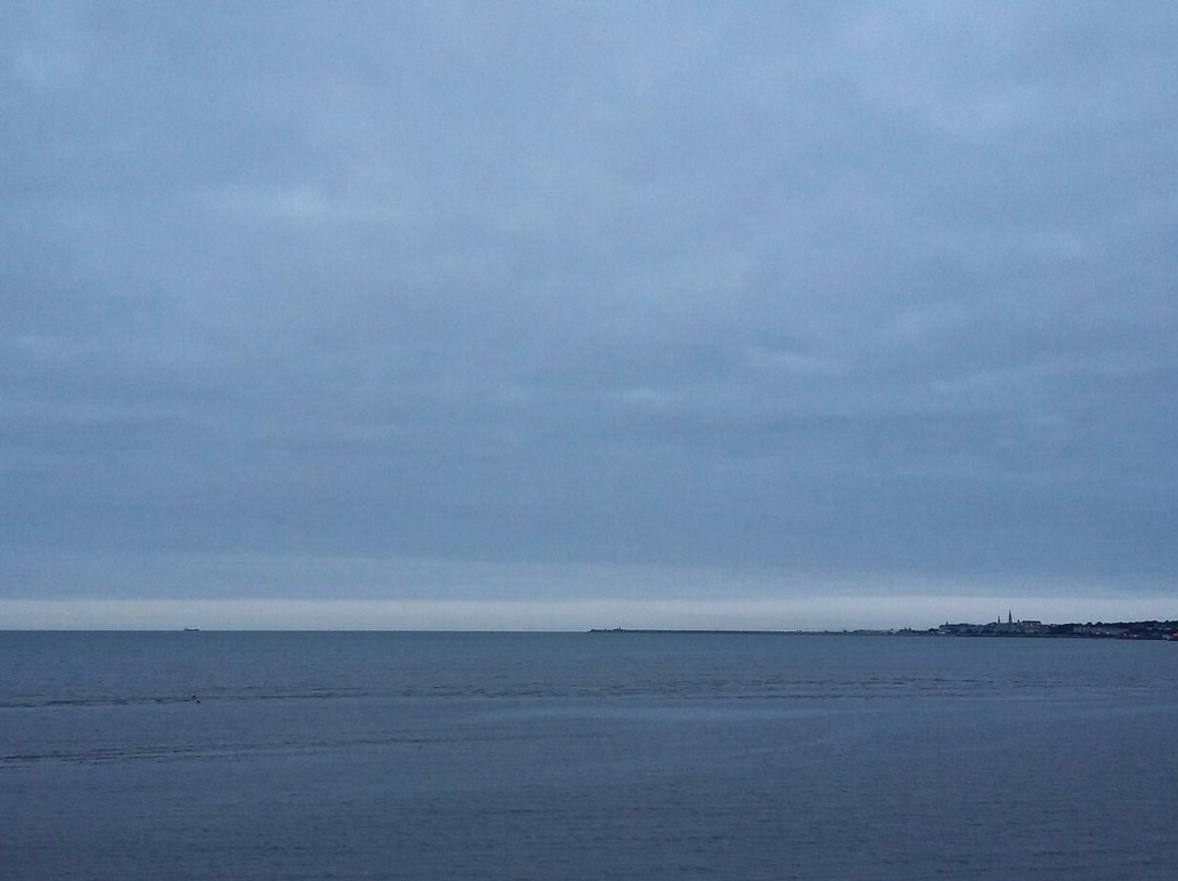 Booterstown Bird Sanctuary-都柏林必去景点