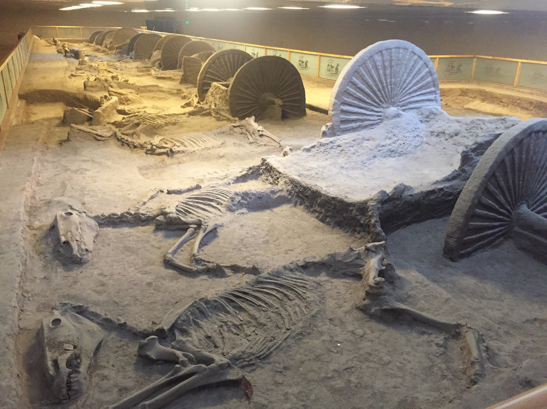 淄博中国古车博物馆-淄博市必去景点