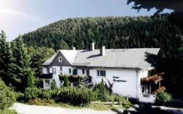 Berghotel-Willingen-官方