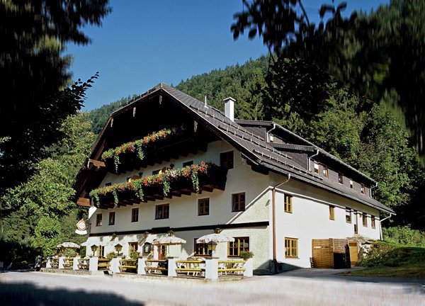 Gasthof Steinbraeu-官方