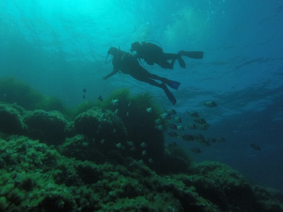 Bluelba Diving景点图片