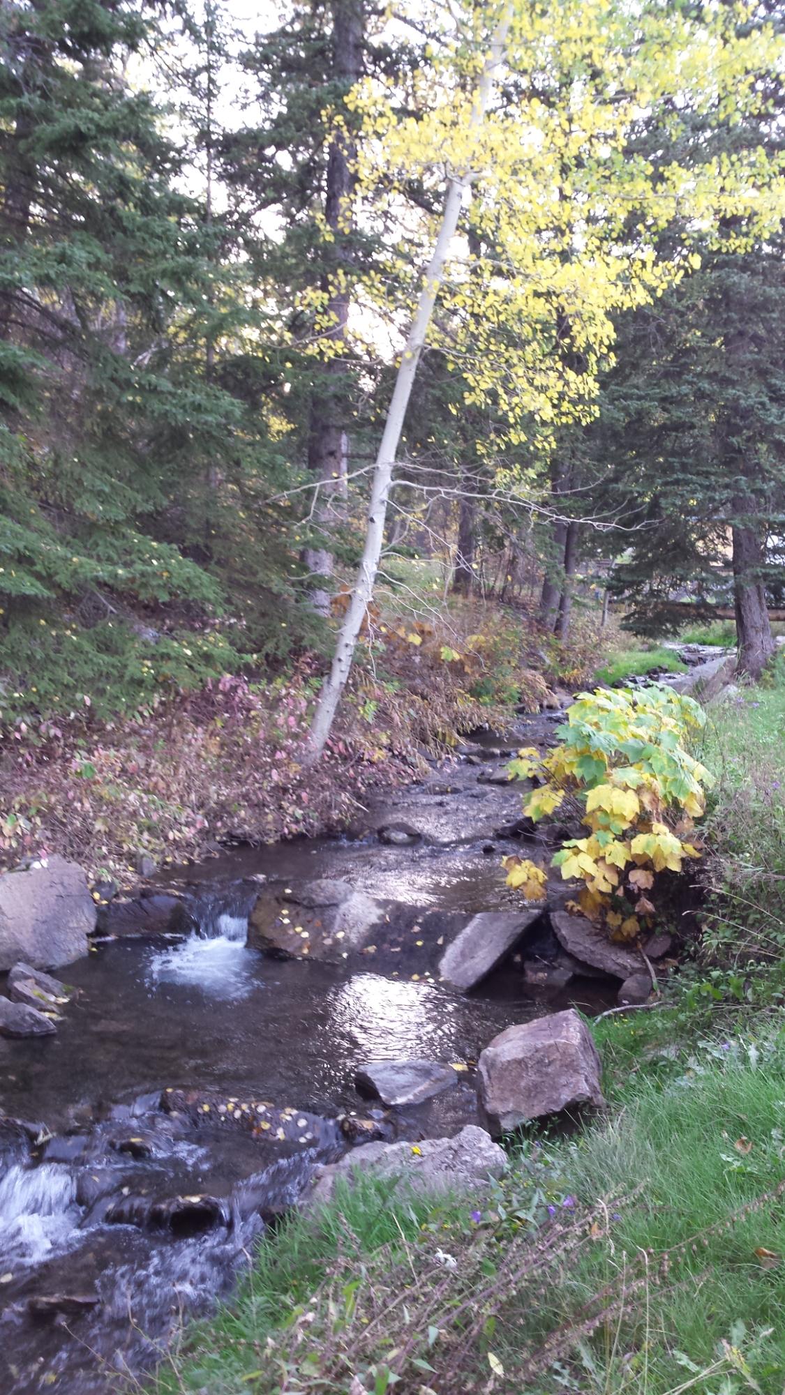 Whitetail Creek Resort-浴室