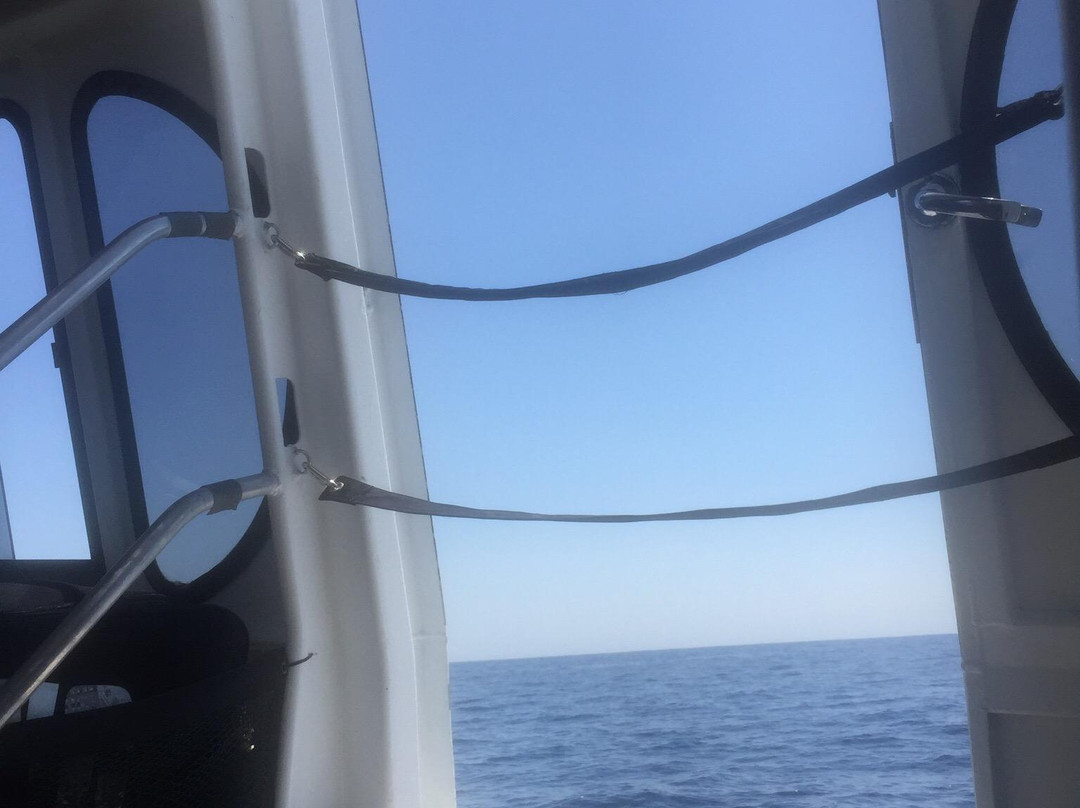 Gili Cat Fast Boat-沙努尔必去景点