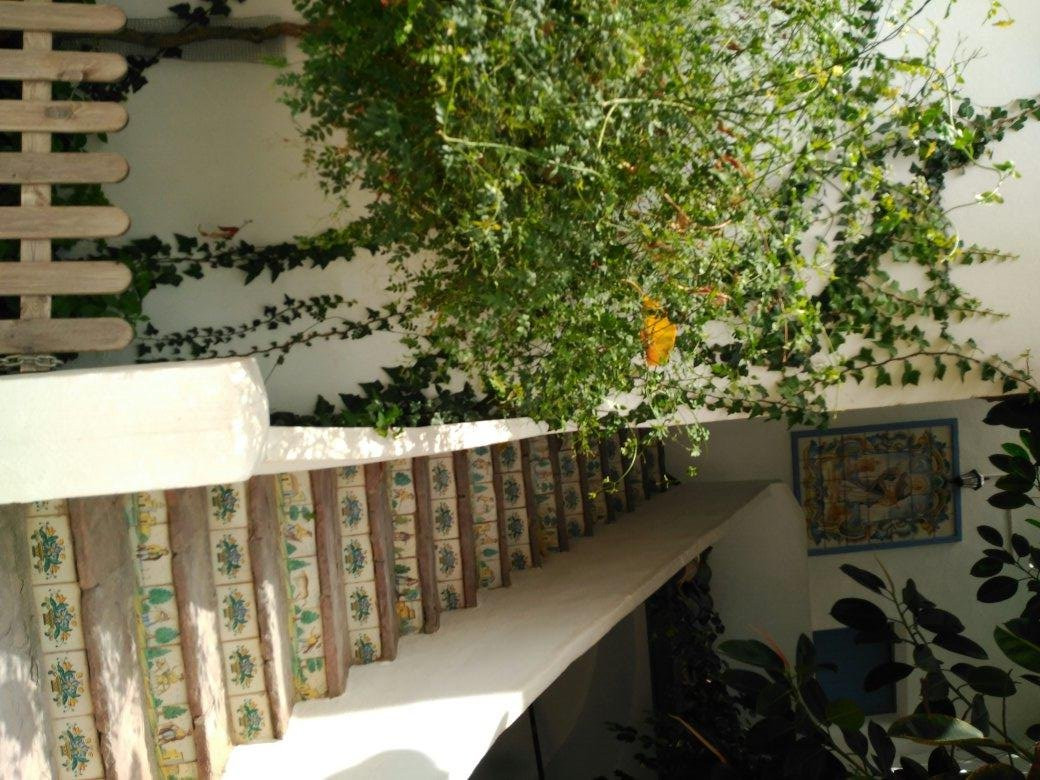 la ceramica valenciana-马尼塞斯必去景点