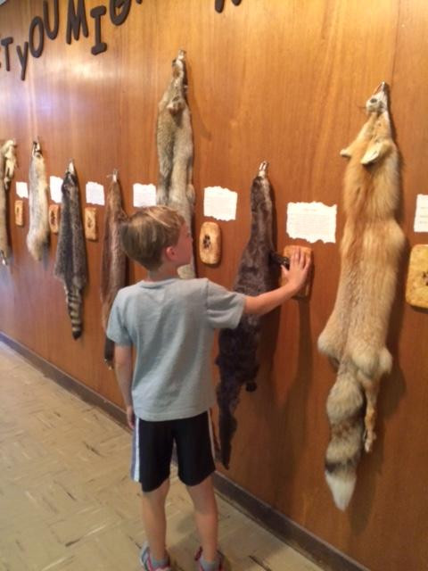 Sanford Museum & Planetarium-Cherokee必去景点