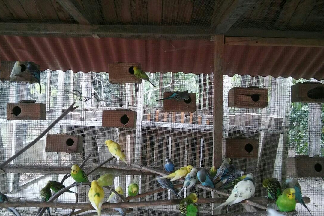 Recreo Chu Chu Center-Rioja必去景点