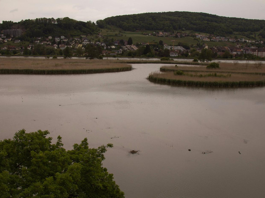 Klingnau旅游攻略图片