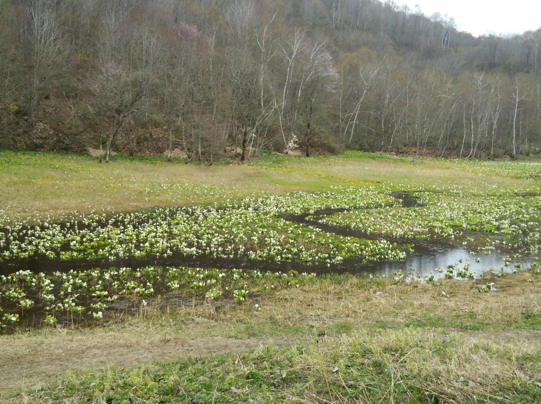Ikegahara Wetlands Area-飞弹市必去景点