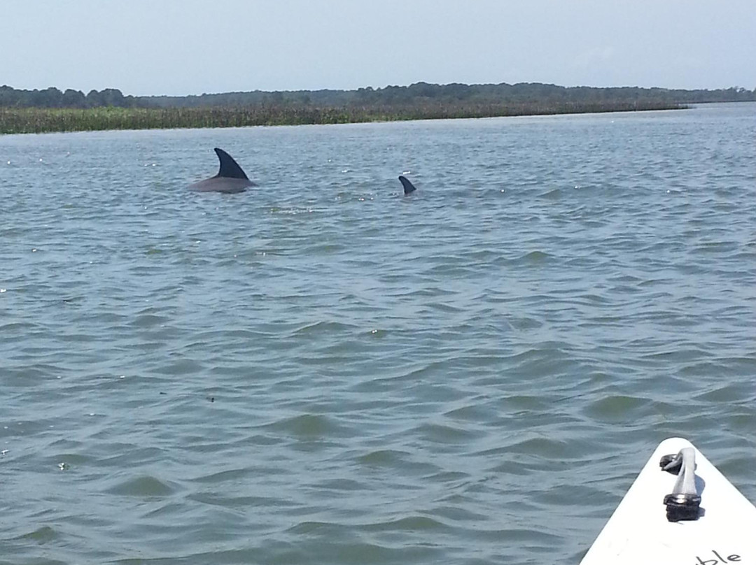 The Kayak Farm-Saint Helena Island必去景点