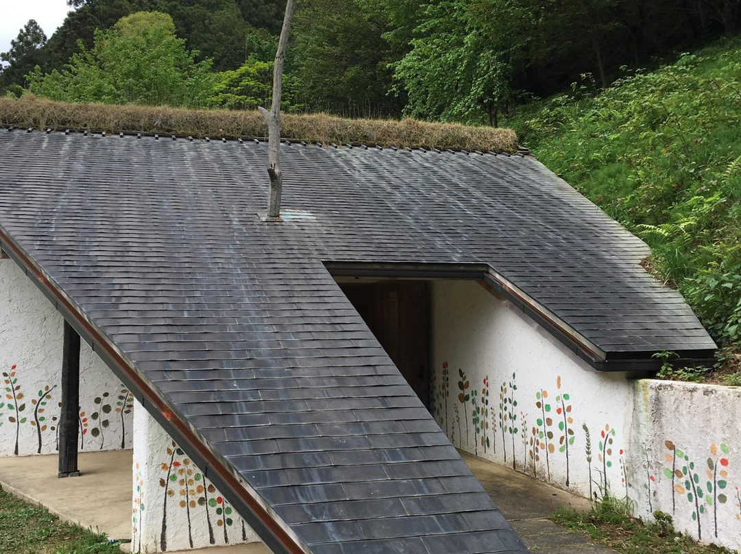Nemunoki Child Museum景点图片