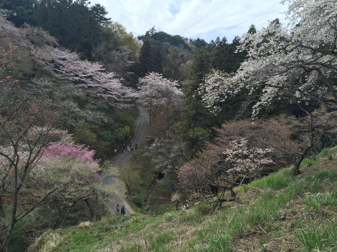 Tama Forest Science Garden-八王子市必去景点