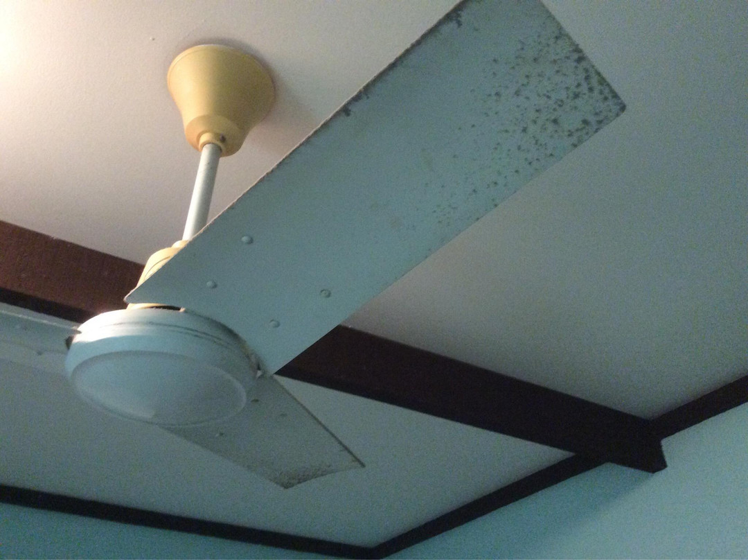 The Tree Motel主图