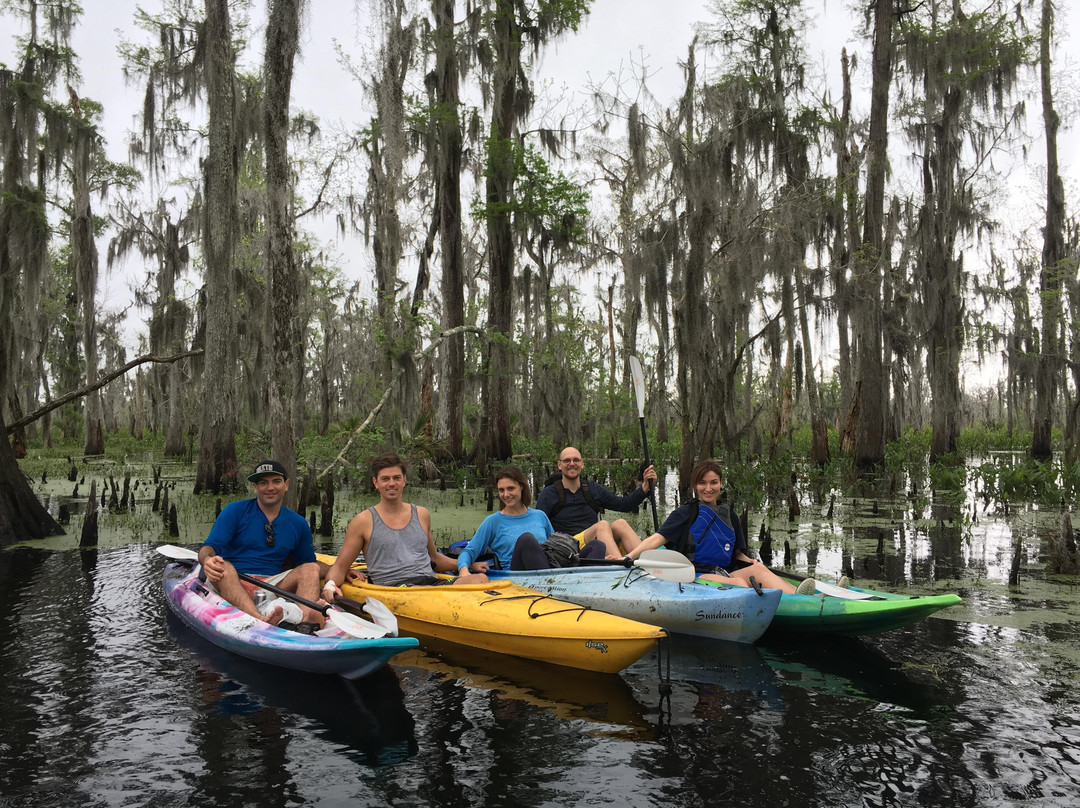 Wild Louisiana Kayak Swamp Tours景点图片
