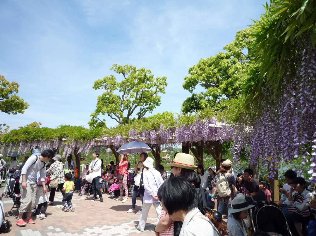 Rengejiike Park Fuji Festival景点图片