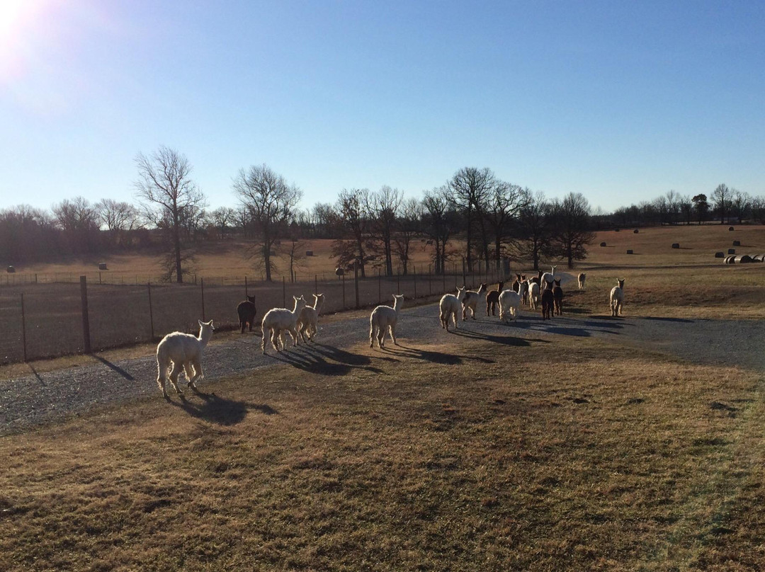 Jay旅游攻略图片