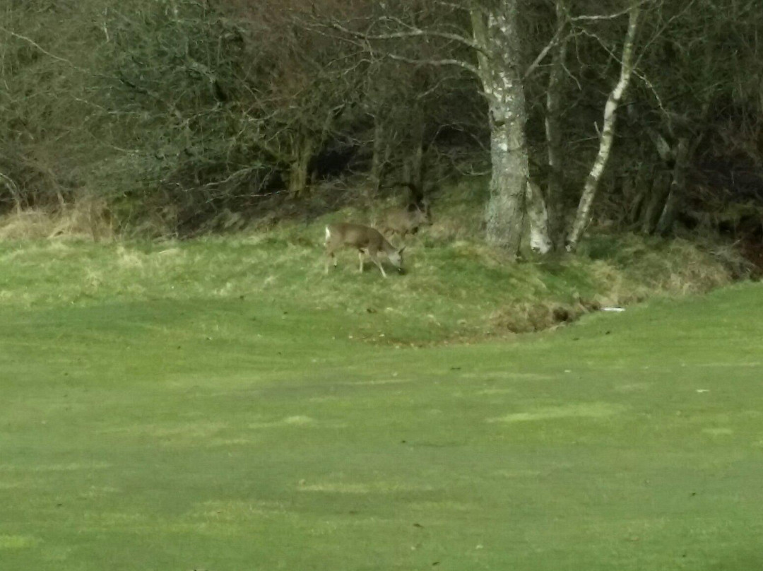 The Bishopbriggs Golf Club-格拉斯哥必去景点