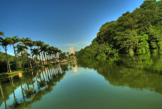 Jaboticabal旅游攻略图片