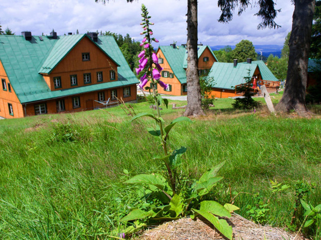 Chybotek Vacation Resort主图