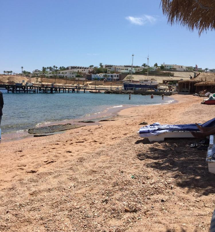 Sahbi Safari-沙姆沙伊赫必去景点