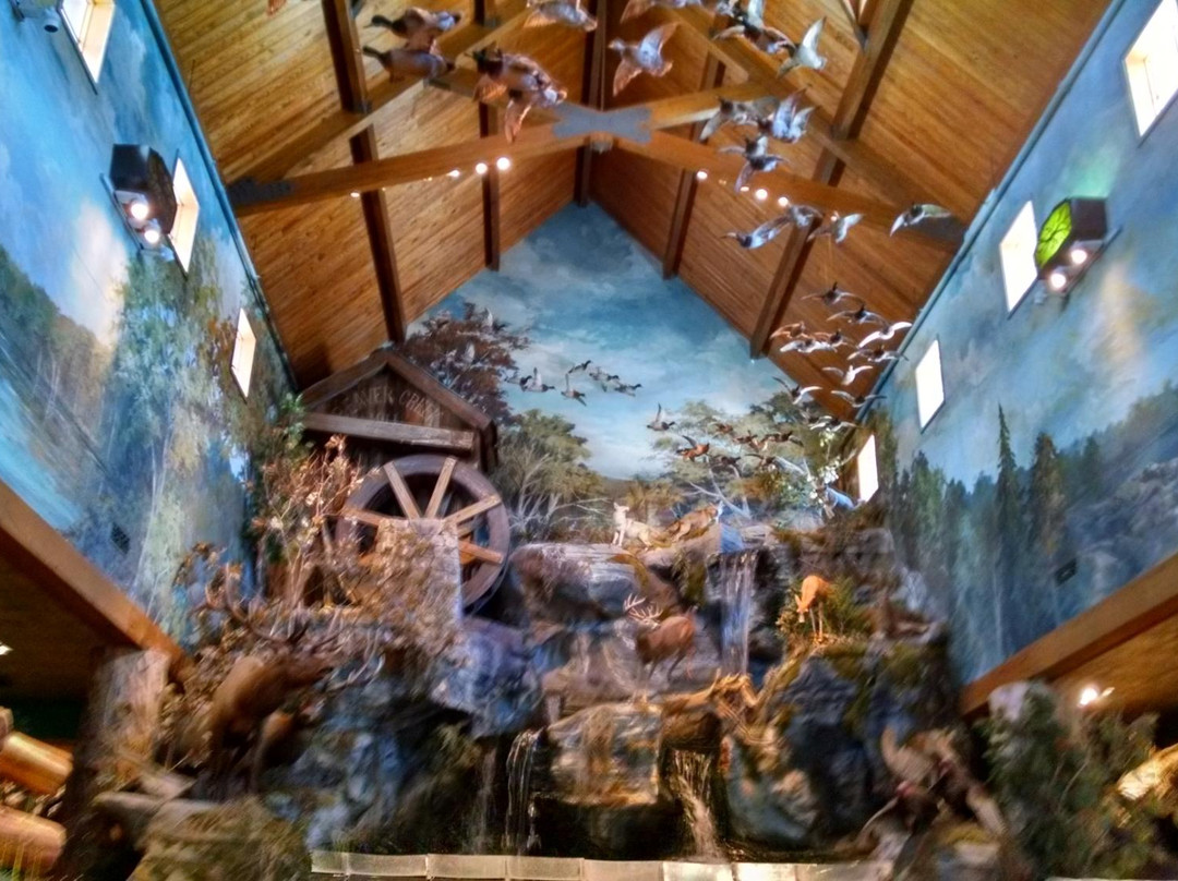 Bass Pro Shops-布兰森必去景点