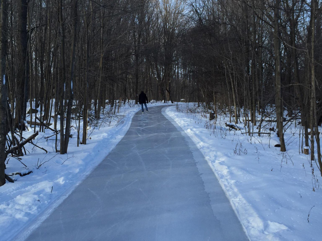 Bois de Belle-Rivière Regional Park景点图片
