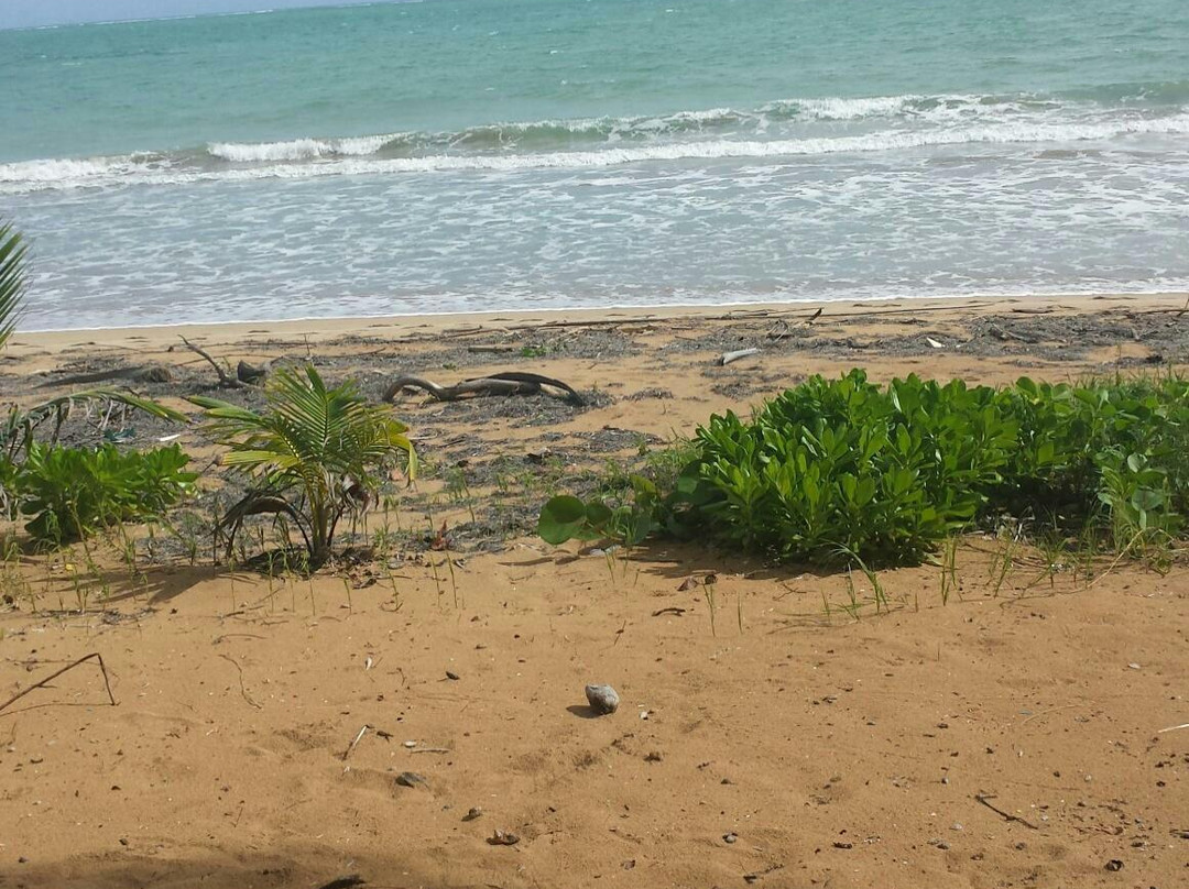 Catch a Dream Ranch-Rio Grande必去景点