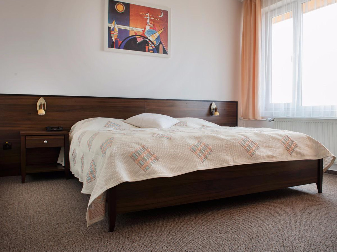 Humenne酒店住宿-Hotel Patriot