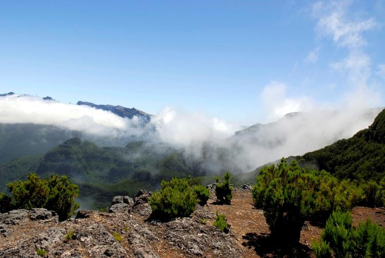 Pico Ruivo do Paul da Serra-马德拉群岛必去景点