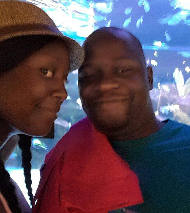 Two Oceans Aquarium-开普敦中心区必去景点