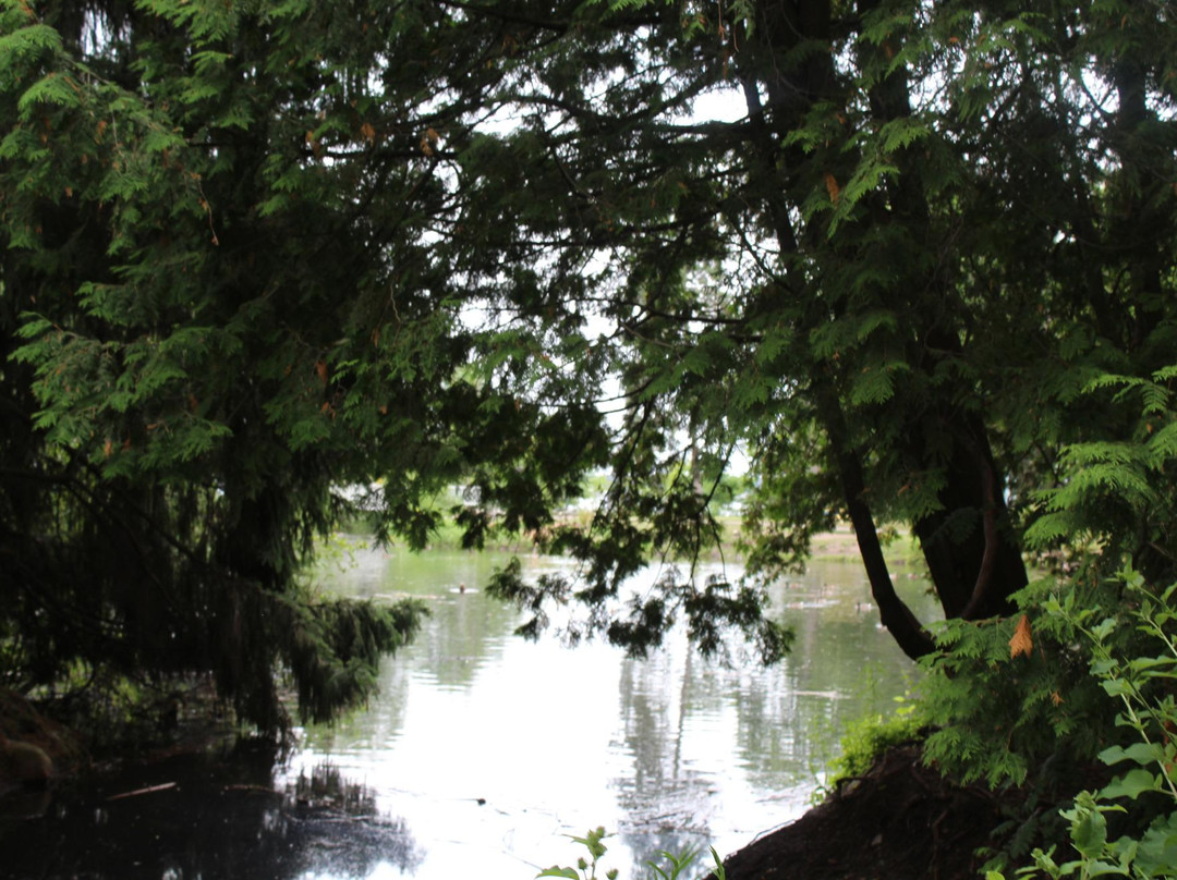 Bellevue Park-苏圣玛丽必去景点