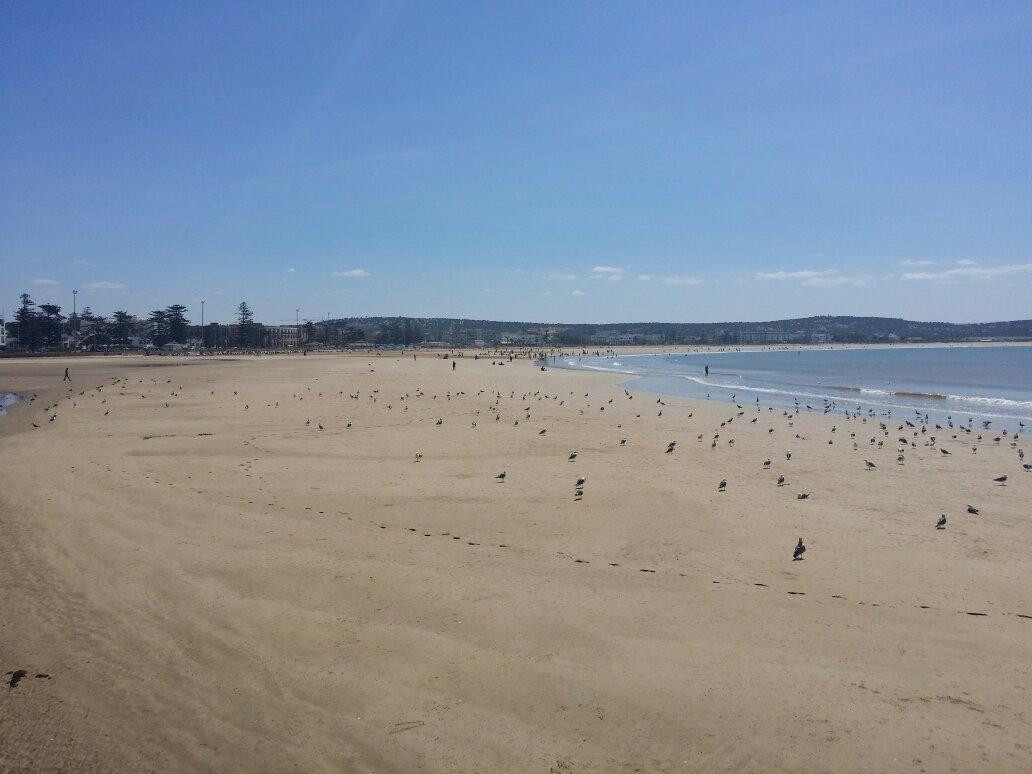 Essaouira Beach-索维拉必去景点