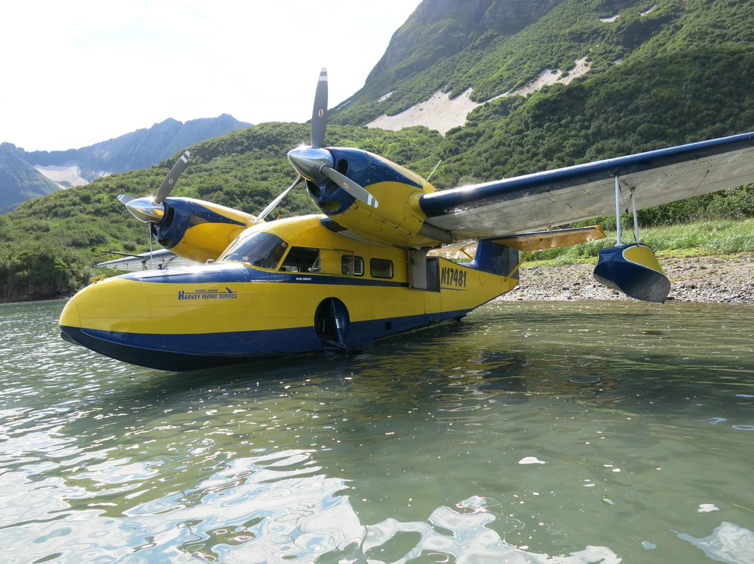 Harvey Flying Service-科迪亚克岛必去景点