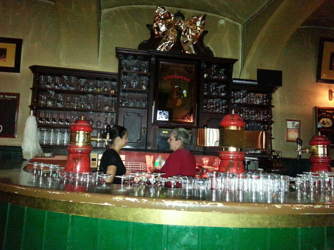 Kanguruh Pub主图