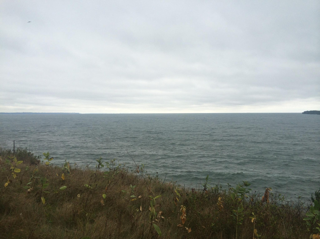 Little Bluff Conservation Area景点图片
