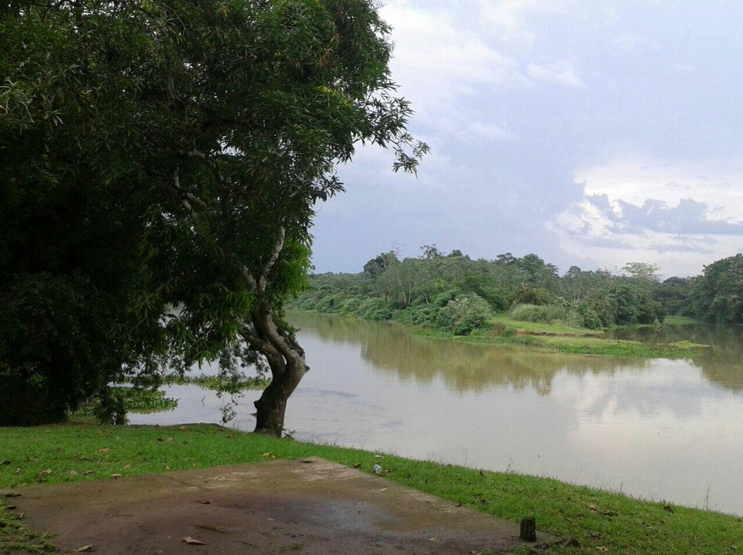 Chagres River景点图片