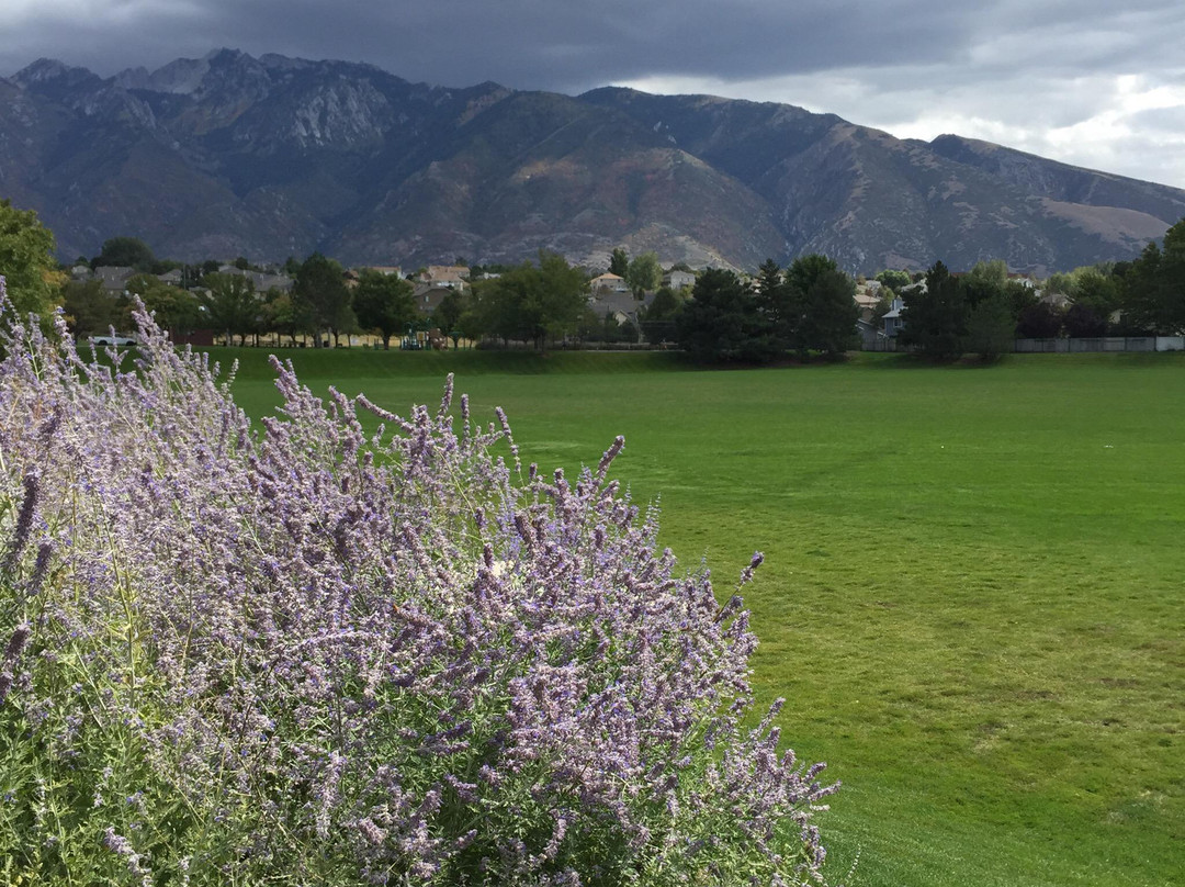 Storm Mountain Park景点图片