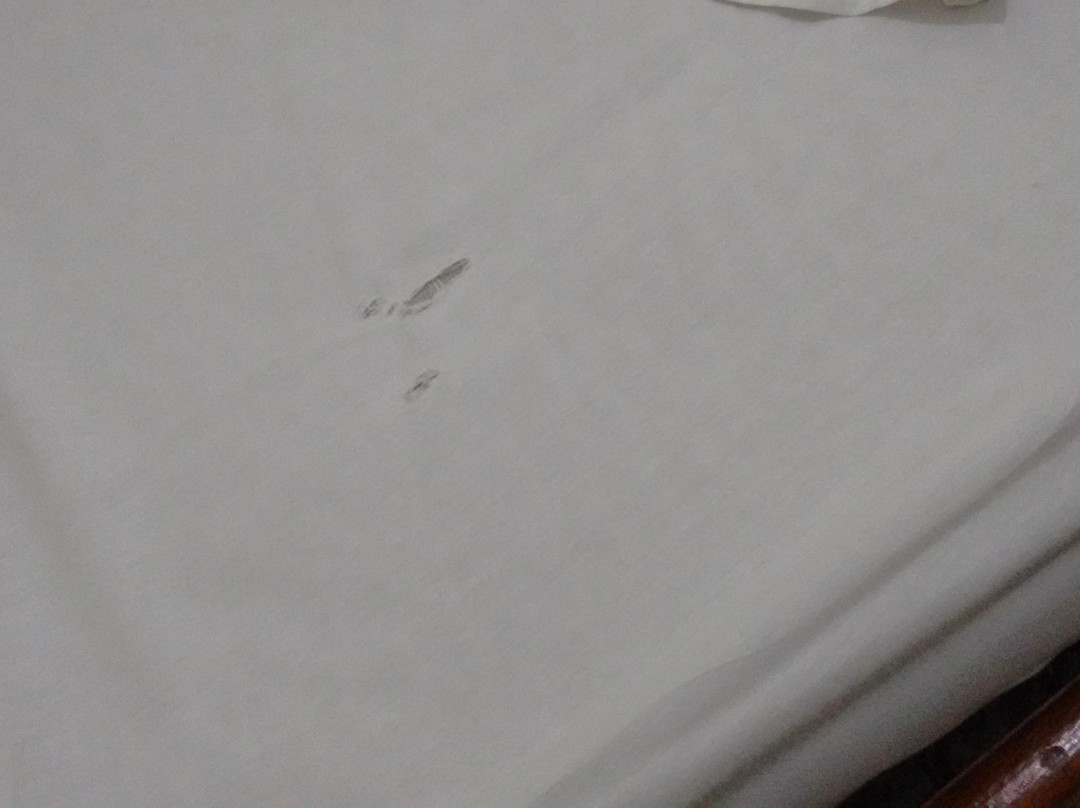 Harmonia Caraguatatuba Hotel主图