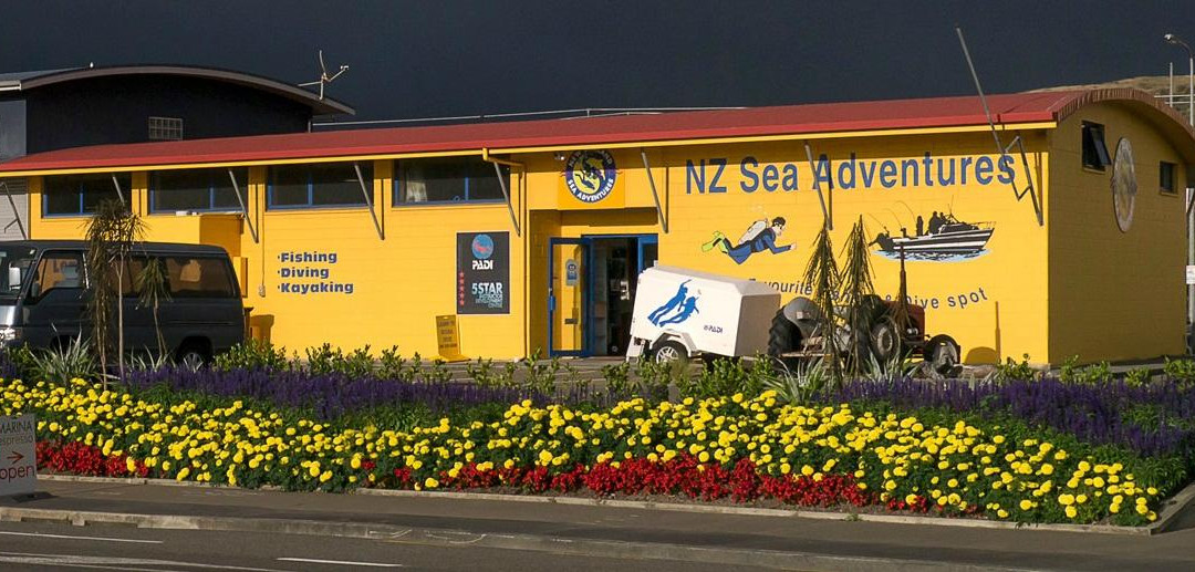 New Zealand Sea Adventures景点图片