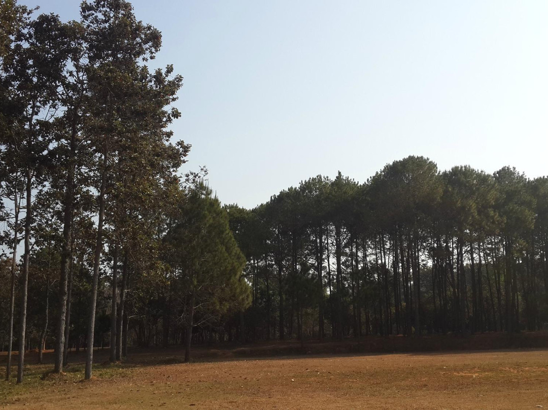 Thung Salaeng Luang National Park景点图片