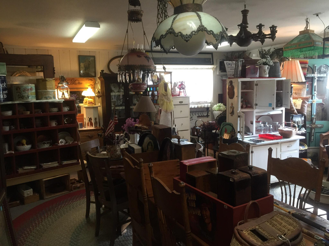 Old Log cabin Antiques-萨利达必去景点