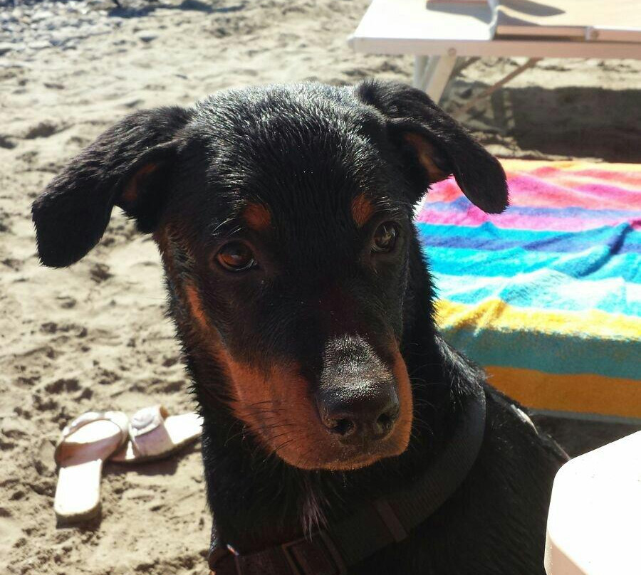 Bagni Capo Mele-Laigueglia必去景点